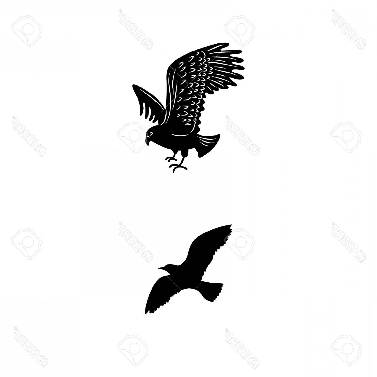 1560x1560 Photostock Vector Birds Silhouettes Flying Sitting Vector Tattoo - Flying Eagle Sketch