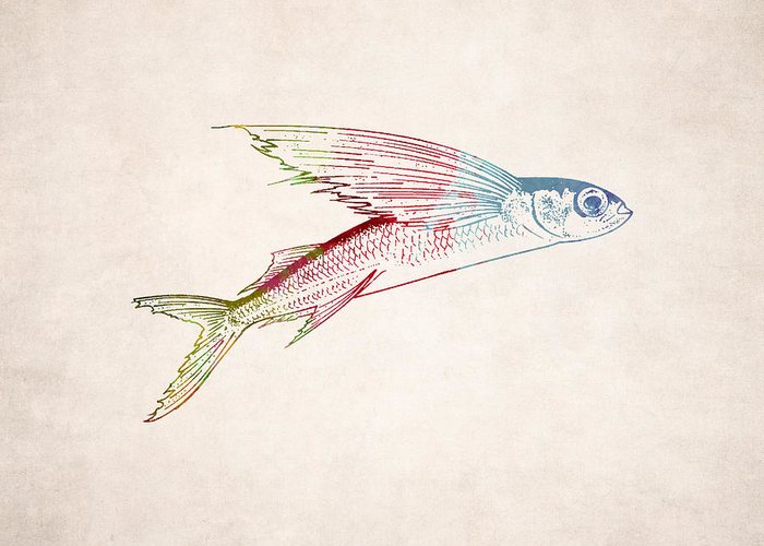 700x500 Flying Fish Illustration Greeting Card For Sale By World Art - Flying Fish Sketch
