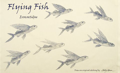 480x294 Flying Fish Tea Towel - Flying Fish Sketch