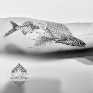 300x300 Luckydubz - Flying Fish Sketch