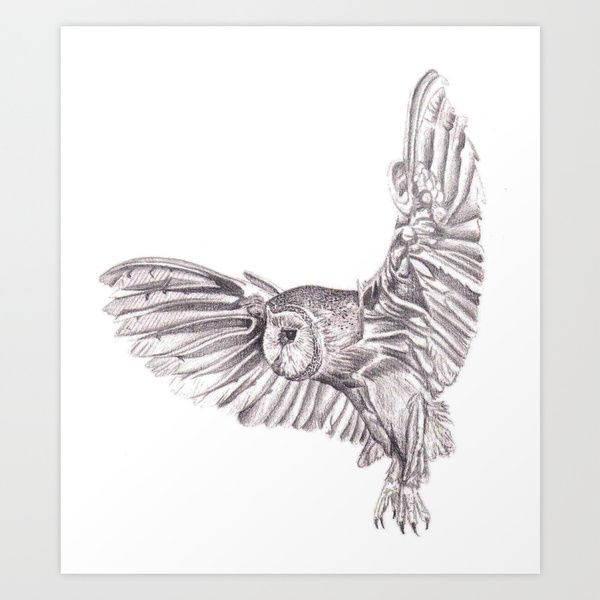 600x600 Flying Owl Pencil Drawing Tattoos Drawings - Flying Owl Sketch