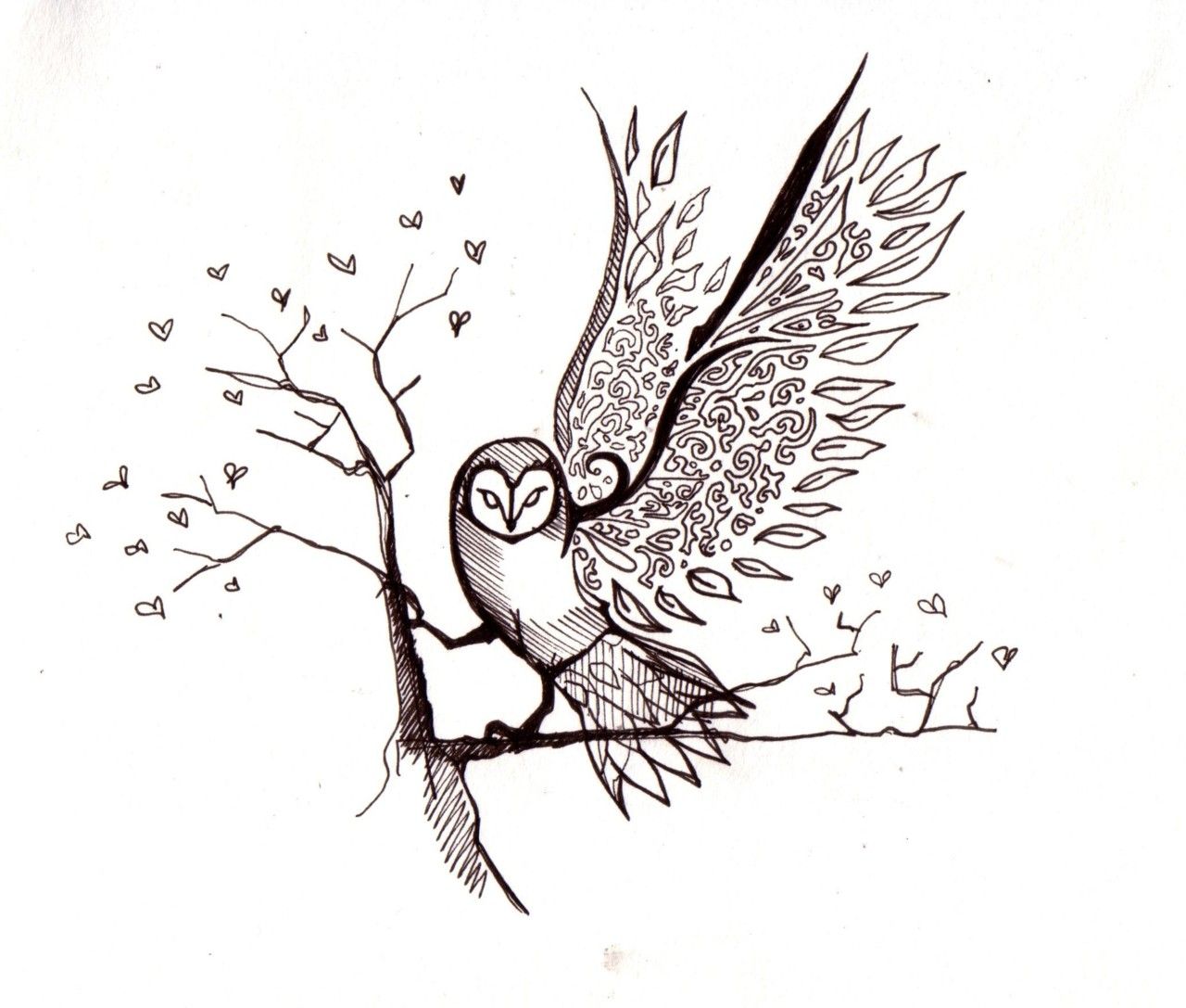 1280x1087 Flying Owl Sketch Images Drawing Tattoos, Owl And - Flying Owl Sketch