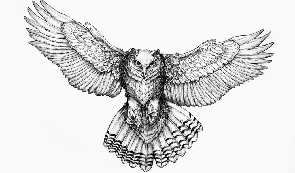 Flying Owl Tattoo Designs Barn Owl In Flight Tattoo Sketch Fresh - Flyi...