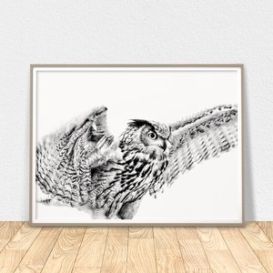 300x300 Flying Owl Print Etsy - Flying Owl Sketch