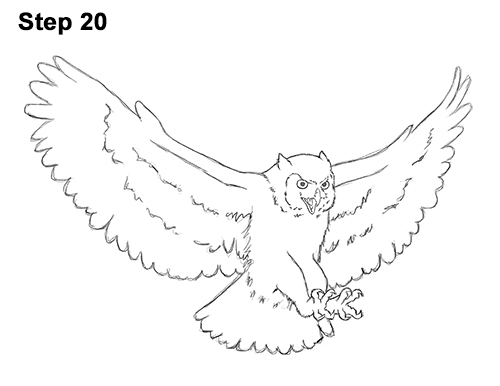 500x386 How To Draw An Owl (Great Horned) Flying - Flying Owl Sketch