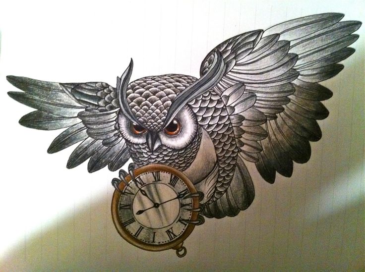 736x549 Nice Sketch Of Flying Owl And Clock Tattoo - Flying Owl Sketch