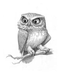 192x244 Flying Owl Sketch Kraftykreations Owl Sketch, Owl - Flying Owl Sketch
