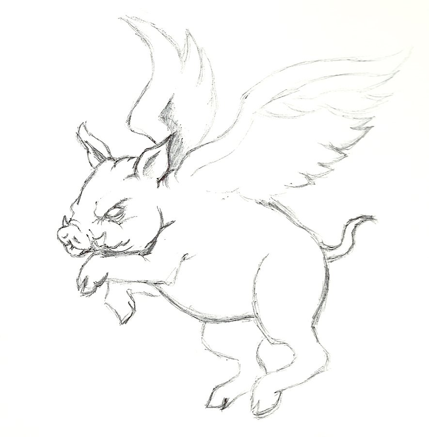 885x902 Rough Sketch Of A Flying Pig By Sweetnshykitten - Flying Pig Sketch