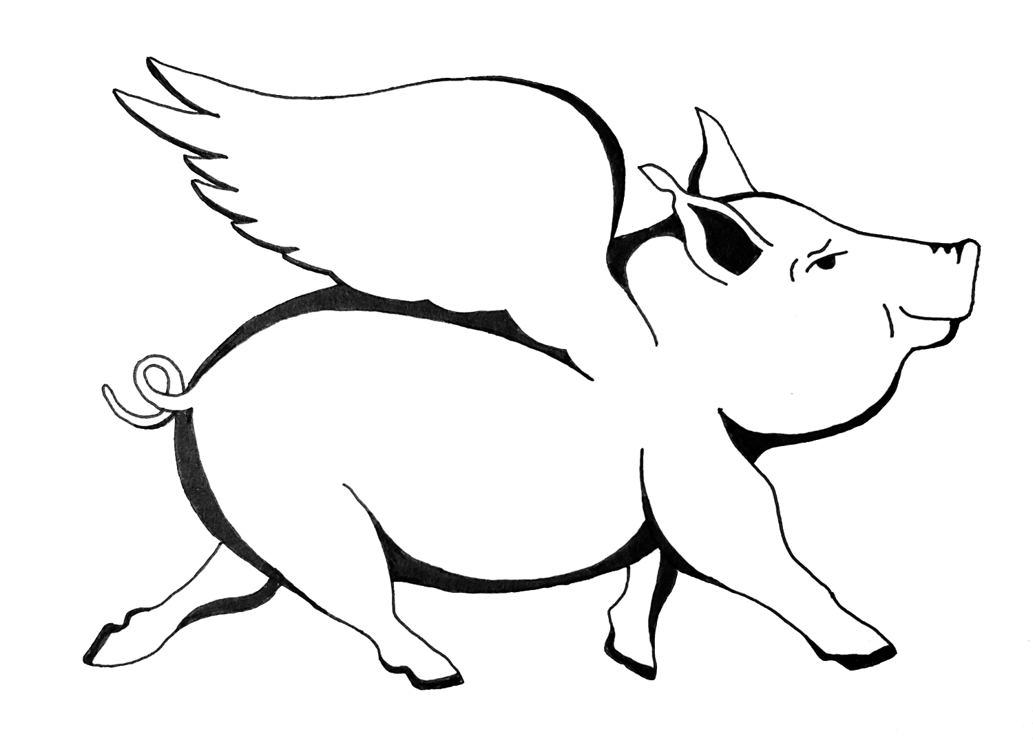 Flying Pig Sketch at Explore
