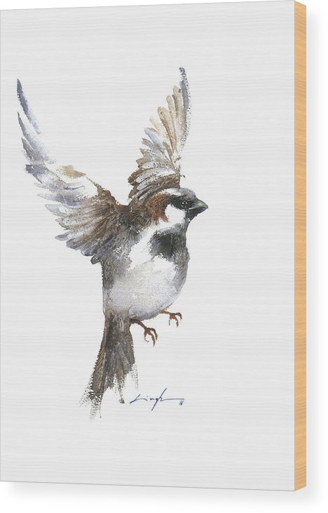 468x732 Flying Sparrow Watercolor Wood Print By Nitin Singh - Flying Sparrow Sketch