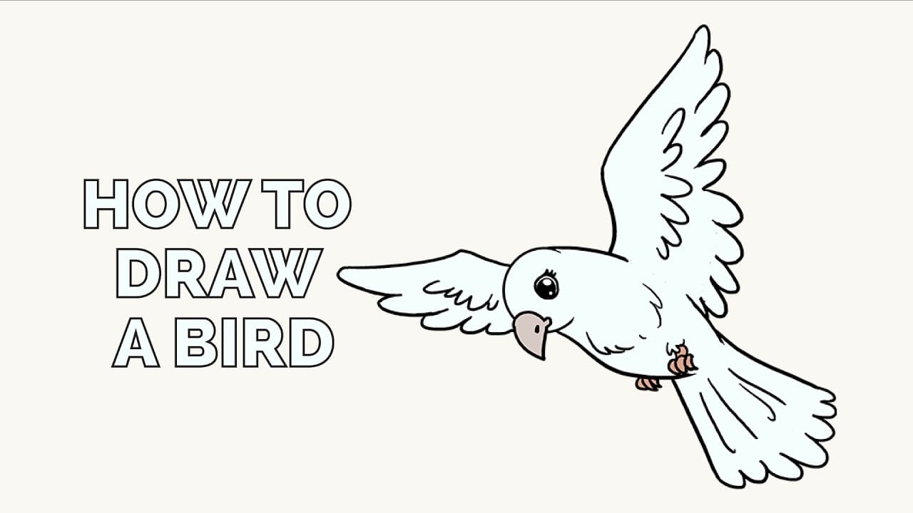 1280x720 How To Draw A Bird Easy Step By Step Drawing Guides - Flying Sparrow Sketch