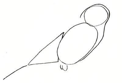 400x274 How To Draw A Sparrow - Flying Sparrow Sketch