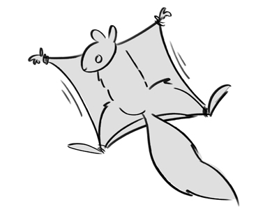 400x300 Flying Squirrel By Tom Davis - Flying Squirrel Sketch