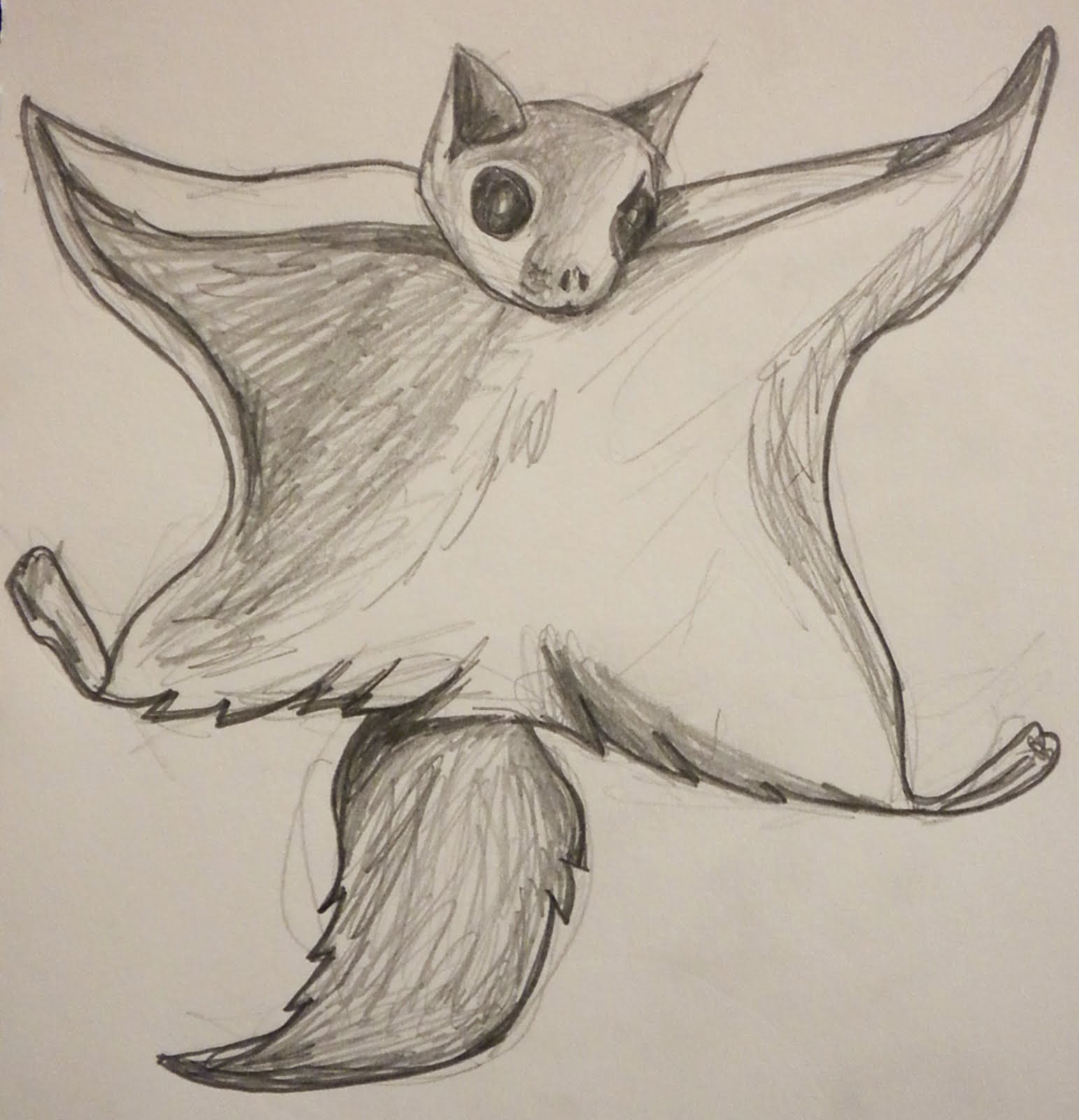 1543x1600 Pointsies Flying Squirrel Doodle - Flying Squirrel Sketch