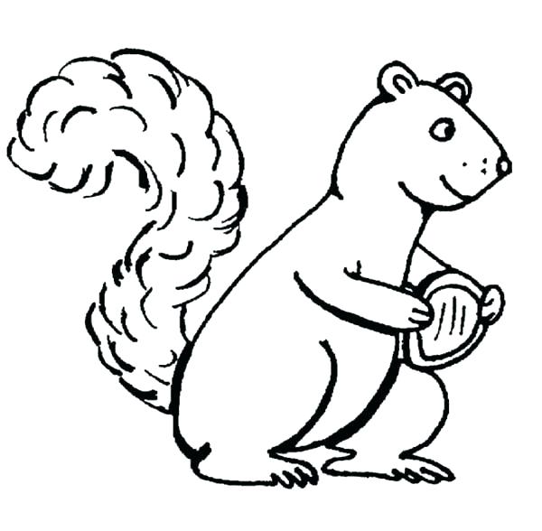 600x588 Coloring Amusing Flying Squirrel Coloring Page - Flying Squirrel Sketch