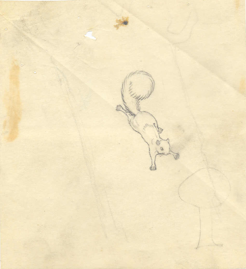 948x1036 F Is For Flying Squirrel Beinecke Rare Book Amp Manuscript Library - Flying Squirrel Sketch