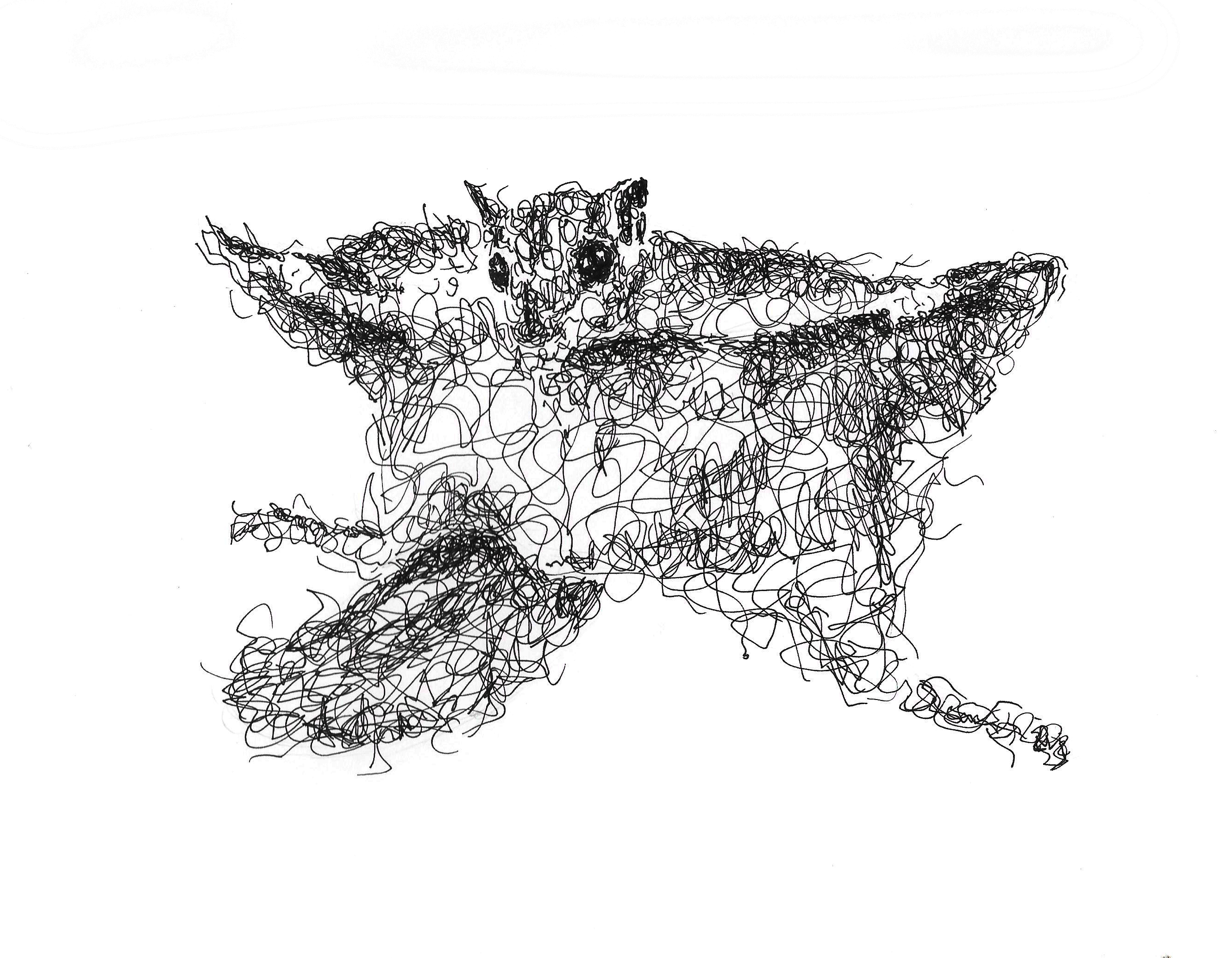 2661x2068 Flying Squirrel (Tribe Pteromyini) Our Wild World - Flying Squirrel Sketch