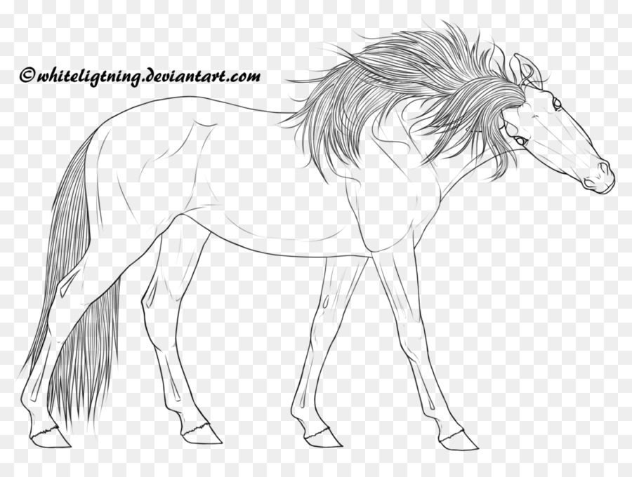 900x680 Mane Line Art Pony Foal Sketch - Foal Sketch