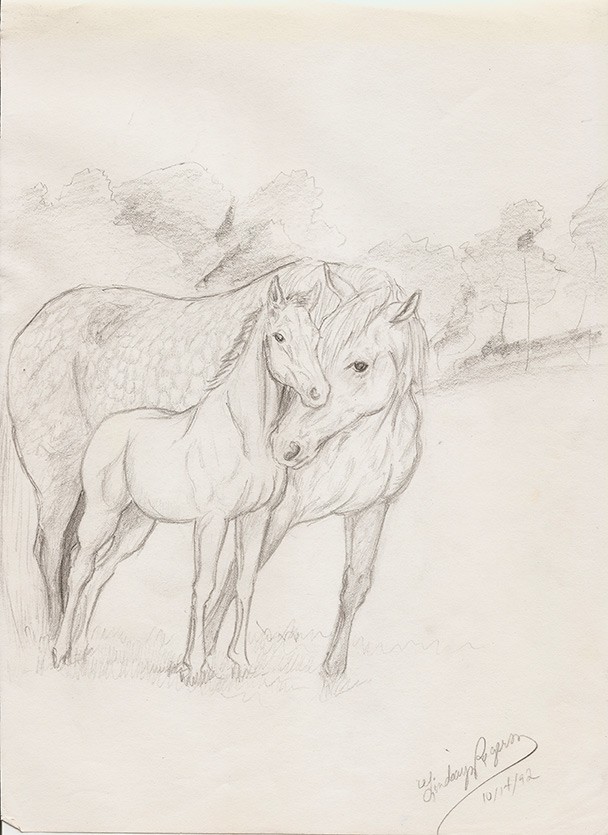608x835 Mare And Foal - Foal Sketch