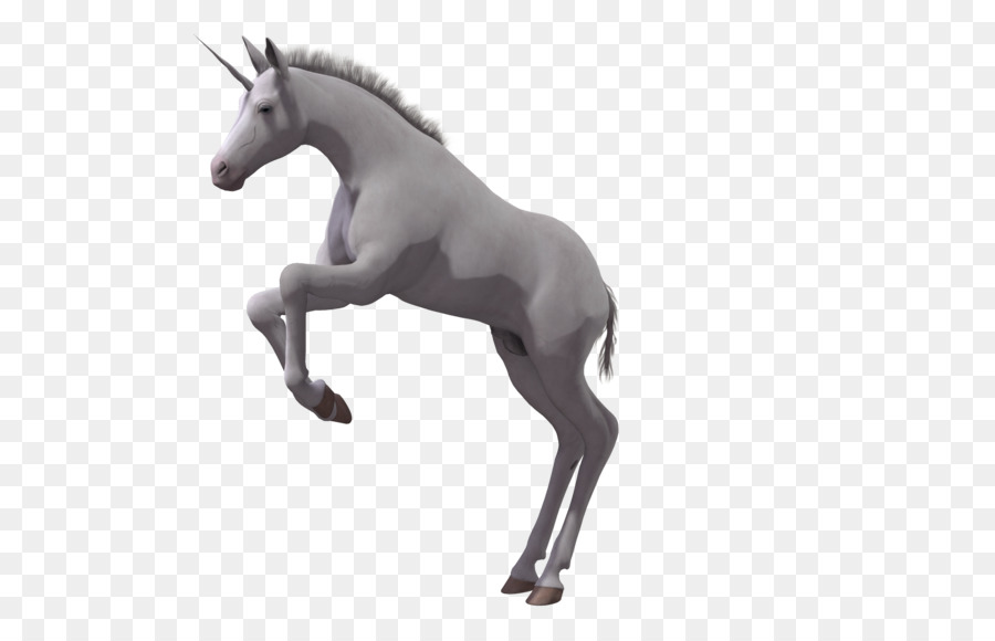 900x580 Mustang Foal Stallion Colt Mare - Foal Sketch