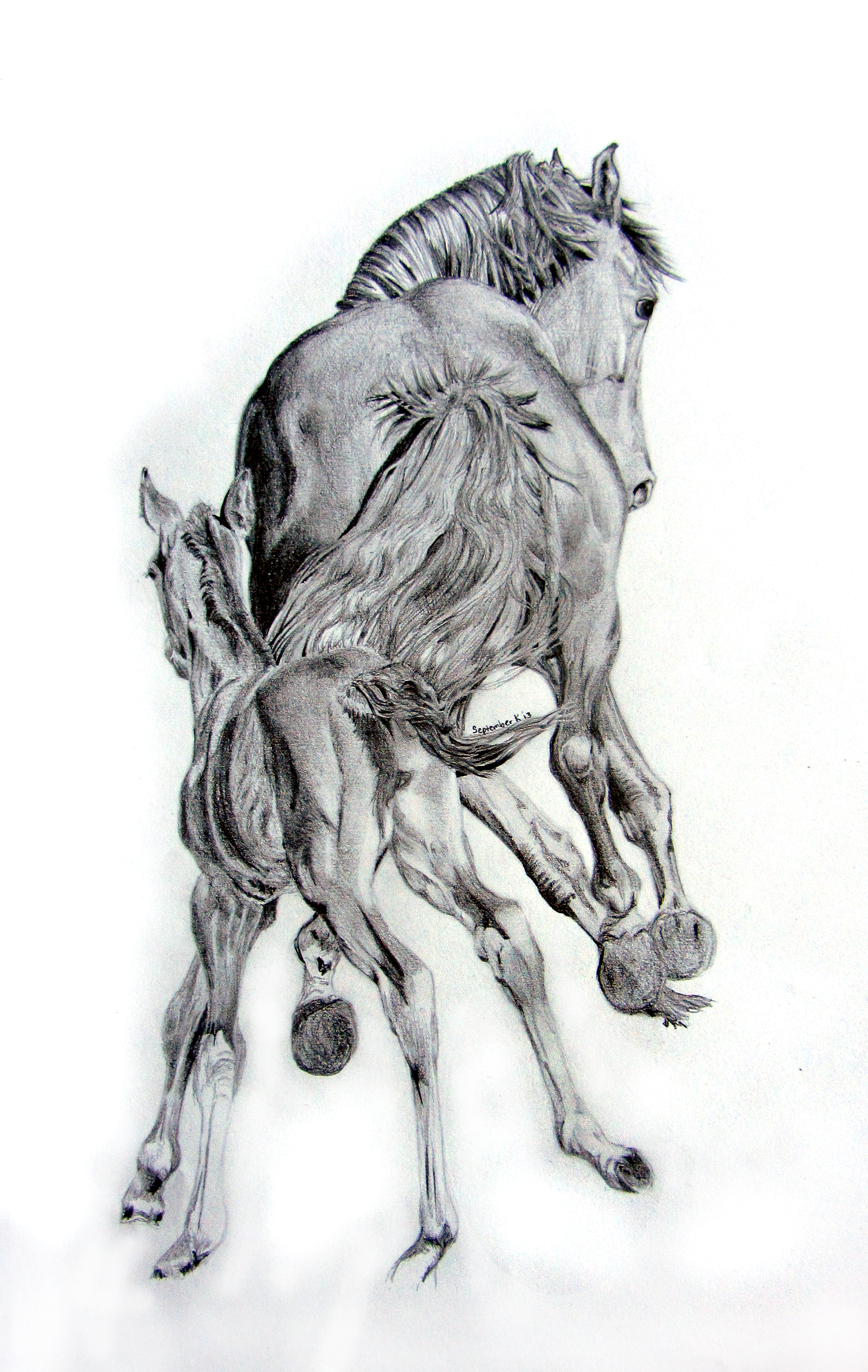 2220x3509 New Original Drawing September Kuromi Art - Foal Sketch