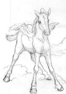 281x400 Pegasus Foal - Foal Sketch