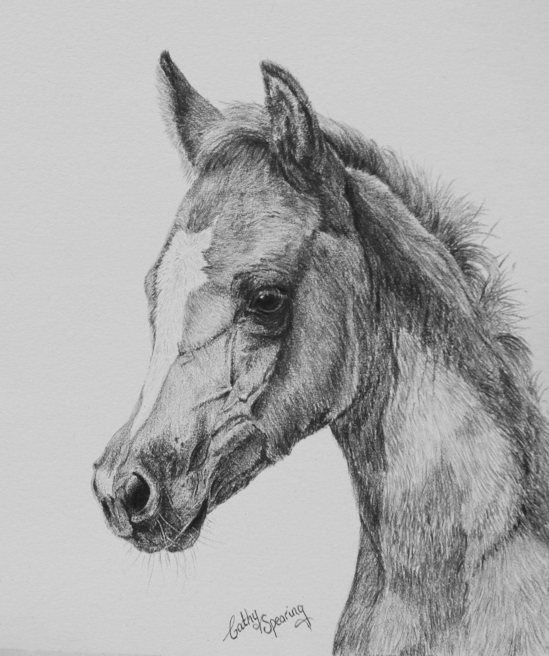 1098x1312 Foal Sketches Day 19 - Foal Sketch