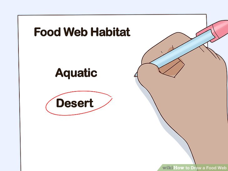 728x546 How To Draw A Food Web 11 Steps (With Pictures) - Food Chain Sketch