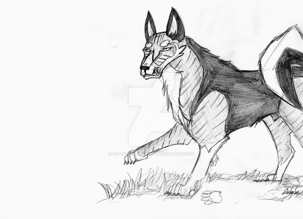 1024x741 The Food Chain Characters Gintora Sketch By Captainfreedomart On - Food Chain Sketch