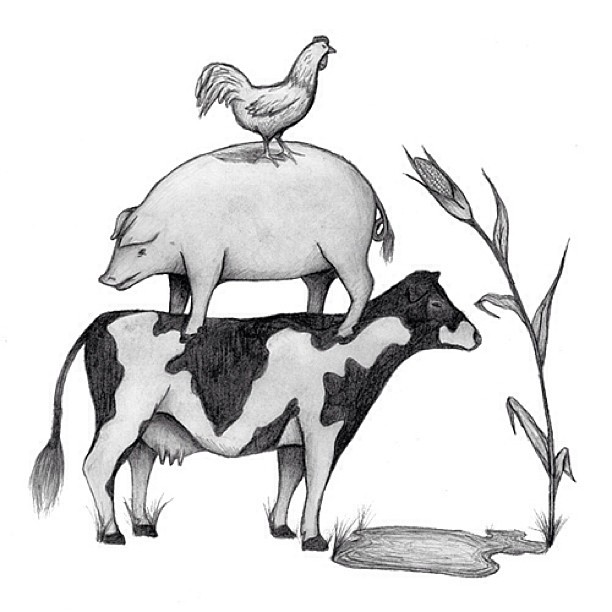 612x612 The Food Pyramid Scheme Drawing Steemit - Food Pyramid Sketch