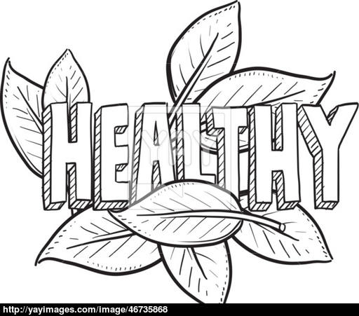 512x451 Healthy Food Sketch Vector - Food Sketch