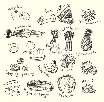 417x412 Vector Art Healthy Food. Sketch Style Graphic - Food Sketch Images