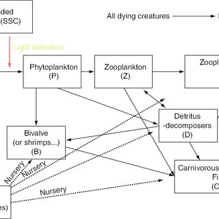 320x320 Sketch Of The Food Web In Each Cell Of The Guadiana Estuary - Food Web Sketch