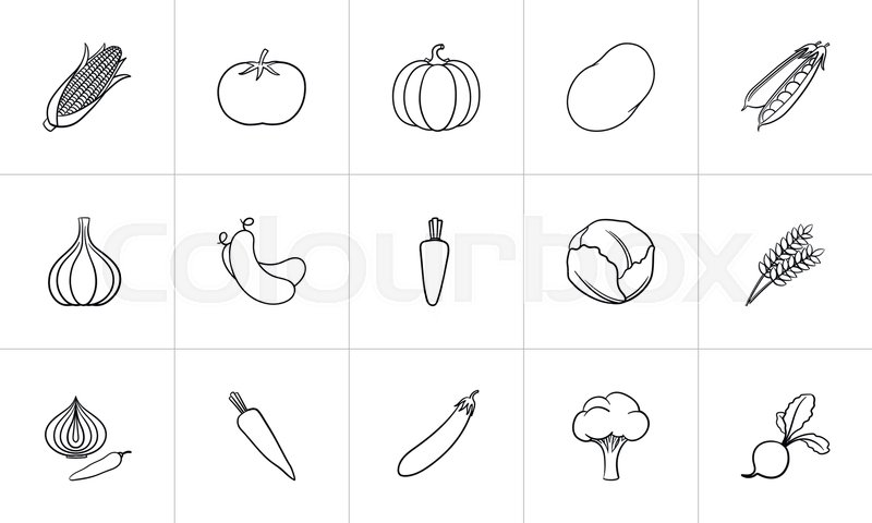 800x480 Agriculture Food Sketch Icon Set For Web, Mobile And Infographics - Food Web Sketch