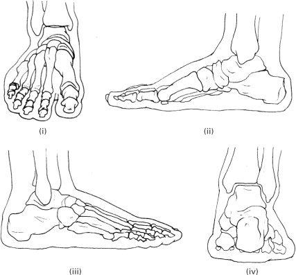427x397 Foot Sketch Templates And Footwear Design - Foot Sketch