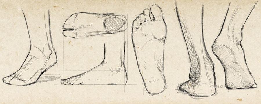 human foot sketch