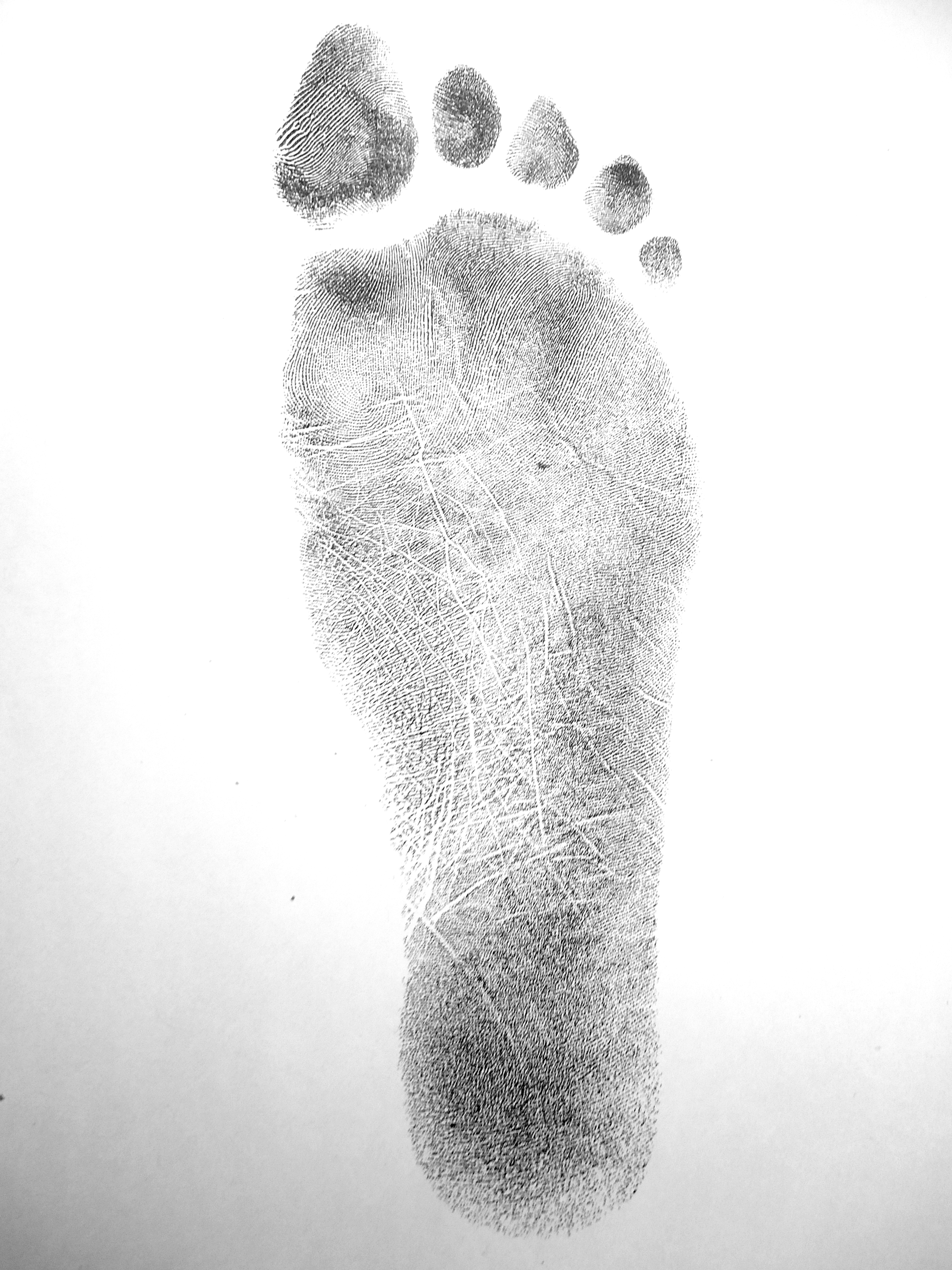 3240x4320 Fileright Footprint 3.jpg - Footprint Sketch