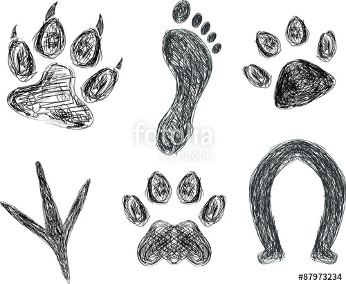 500x410 Sketch Of Animal Footprints And Paw Prints. Stock Image And - Footprint Sketch