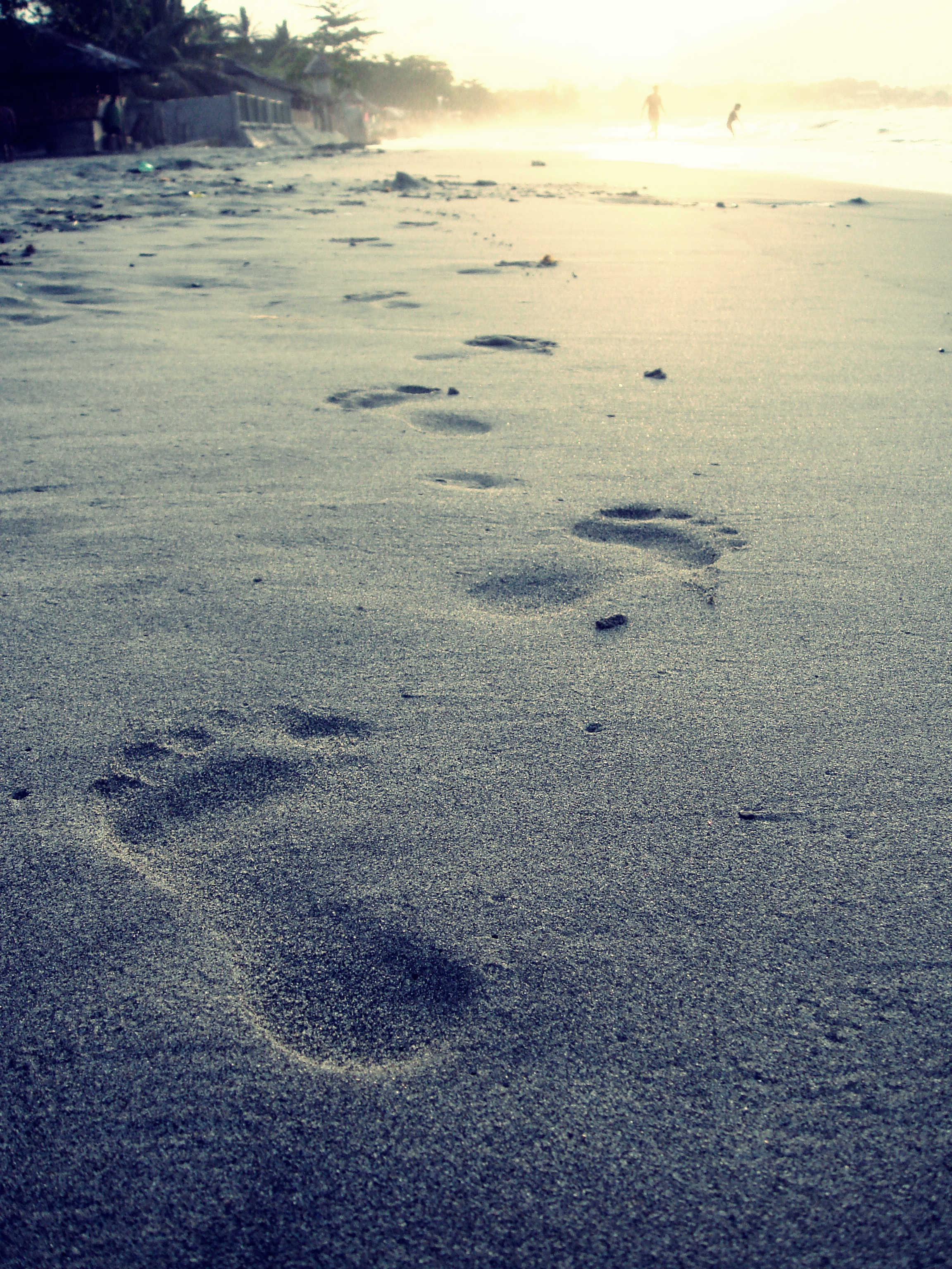 2304x3072 Best Footprints Background On Hipwallpaper Parasaurolophus - Footprints In The Sand Sketch