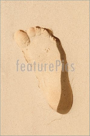 298x450 Footprint In Sand Photo - Footprints In The Sand Sketch