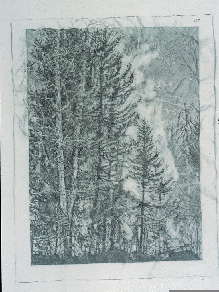 768x1024 Penny Mccarthy Artist - Forest Fire Sketch