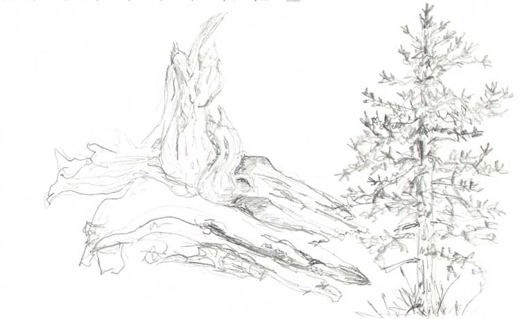 750x460 Sketches Rebecca Emily Cooper - Forest Fire Sketch