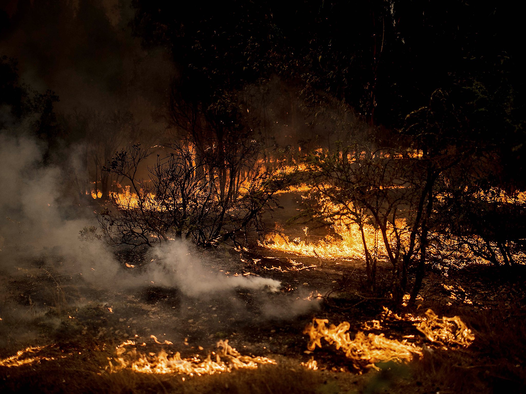 2048x1536 Canada Declares State Of Emergency In British Columbia As 138 - Forest Fire Sketch