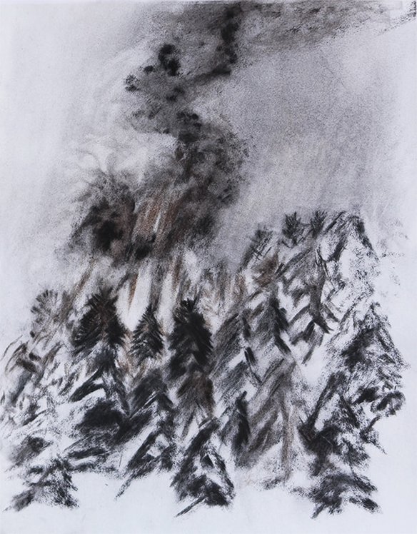 584x748 Wild Fire Drawings And Paintings - Forest Fire Sketch