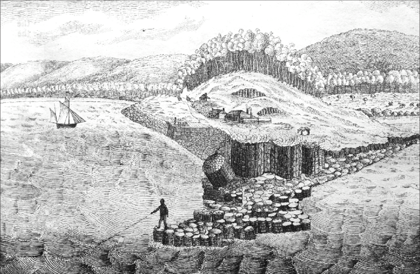 850x554 Drawing By Henry Hellyer Of Emu Bay Showing The Fire Climax Mixed - Forest Fire Sketch