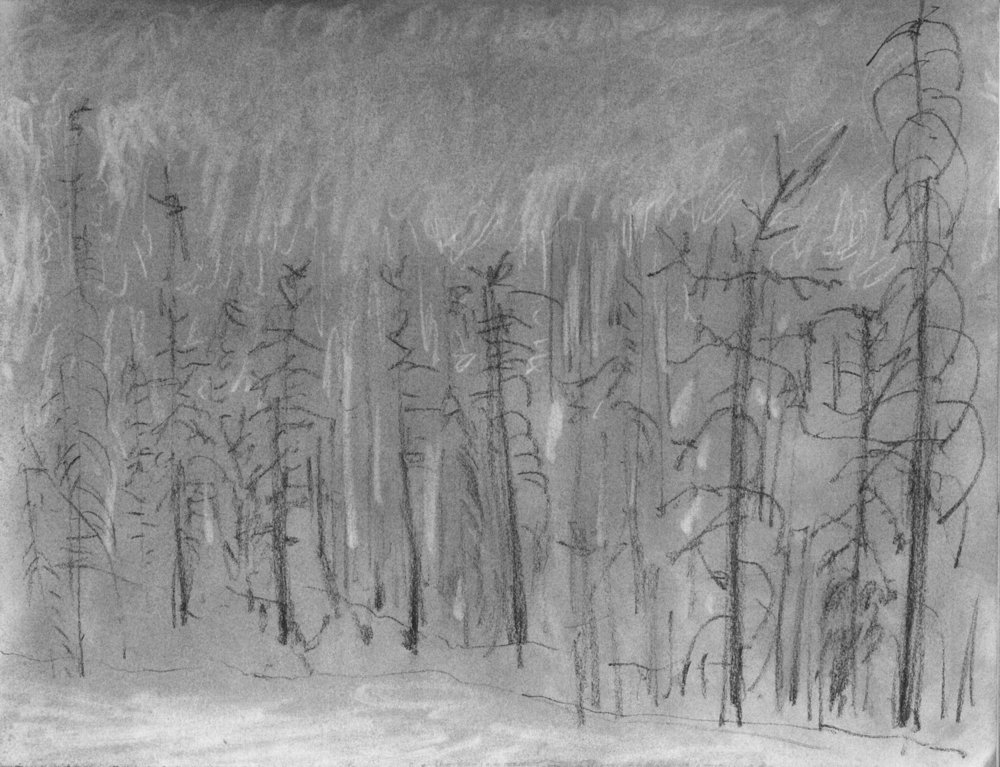 1000x767 Fire Field Drawings Eric Martin Projects - Forest Fire Sketch