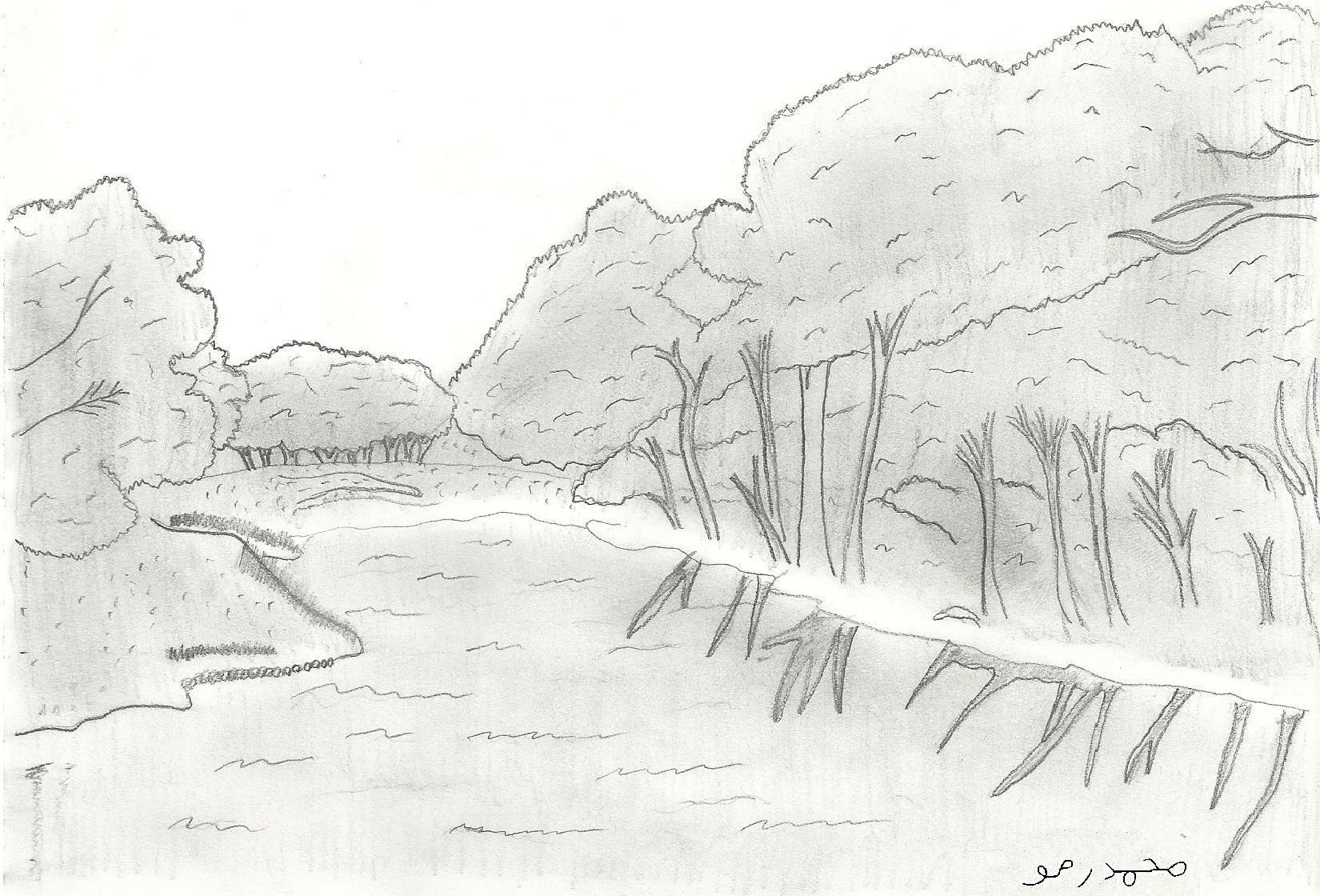 1650x1120 Forest Pencil Sketch - Forest Pencil Sketch