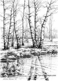 190x265 Pencil Drawing Sketch Forest Nature Pictures - Forest Pencil Sketch