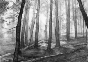 300x210 Pencil Sketch Of Forest Pencil Drawing Of Forest Pencil Sketch Of - Forest Pencil Sketch