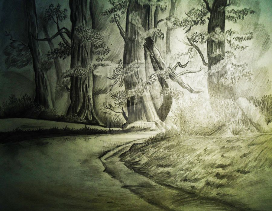 900x699 Pencil Sketch - Forest Pencil Sketch